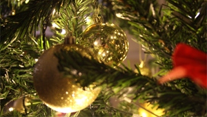 Gedichte zu Weihnachten Gedichte zu Weihnachten